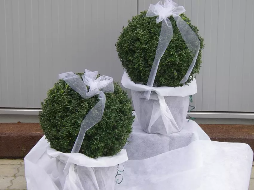 Hochzeitsschmuck Gärtnerei Jenkel